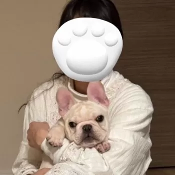 S 様のお迎えした子犬