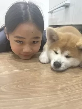 Y.T 様のお迎えした子犬