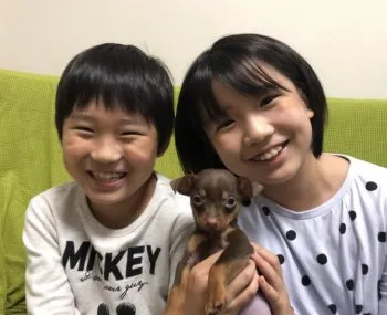 ちぃかな 様のお迎えした子犬