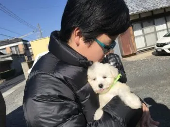 そら 様のお迎えした子犬