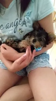 T.N 様のお迎えした子犬