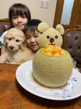 N.M 様のお迎えした子犬