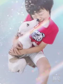 にの 様のお迎えした子犬