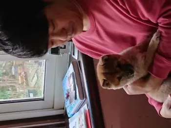 boggy 様のお迎えした子犬