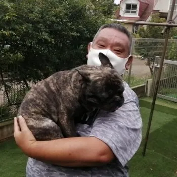 あんこパパ 様のお迎えした子犬