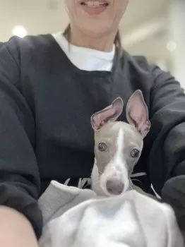 N.N 様のお迎えした子犬