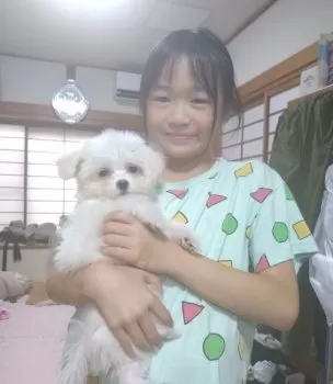リツコ 様のお迎えした子犬