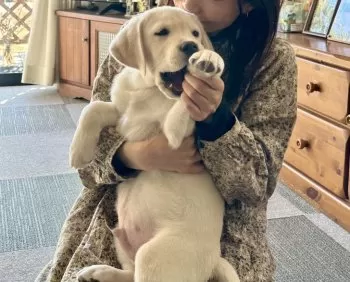 なお 様のお迎えした子犬