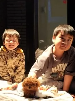 p 様のお迎えした子犬