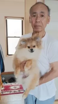 つかさ 様のお迎えした子犬