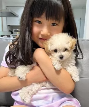 ゆず 様のお迎えした子犬