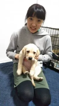 むさぎ 様のお迎えした子犬