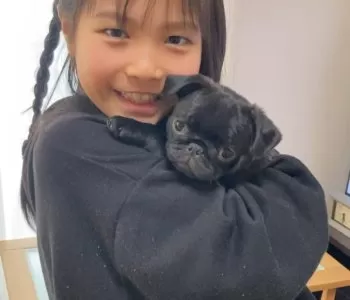 シゲヒロ 様のお迎えした子犬