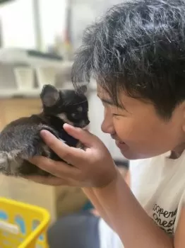 だかーりゆみ 様のお迎えした子犬