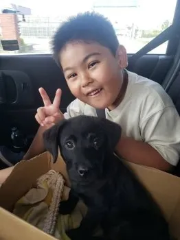 Ohyeah02 様のお迎えした子犬