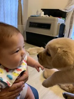 H.K 様のお迎えした子犬