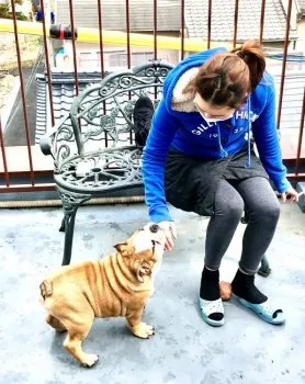 N.S 様のお迎えした子犬