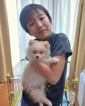 ゆづパパ 様のお迎えした子犬