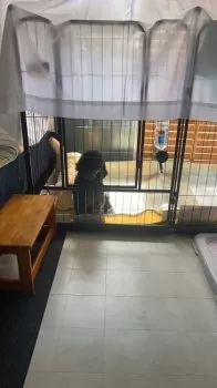 紅うさぎ 様のお迎えした子犬
