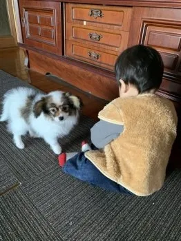 ココ 様のお迎えした子犬