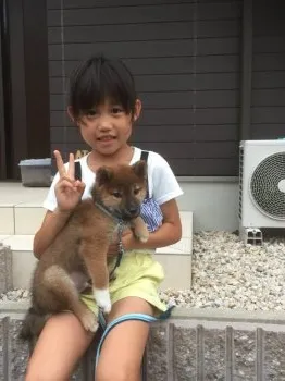 ナガタ 様のお迎えした子犬