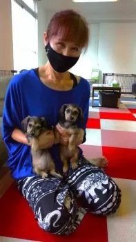 べったこ 様のお迎えした子犬