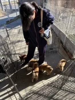 熊 様のお迎えした子犬