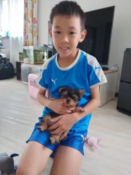 C.O 様のお迎えした子犬