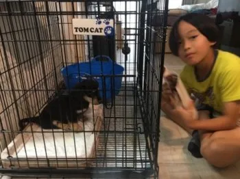 GAMBA 様のお迎えした子犬