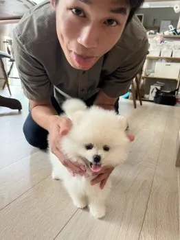 M.N 様のお迎えした子犬