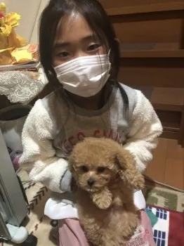 りくぷー 様のお迎えした子犬