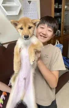 りんご 様のお迎えした子犬