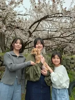 ちよまる 様のお迎えした子犬