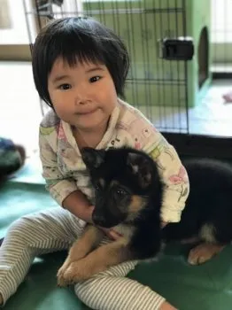 ジュン 様のお迎えした子犬