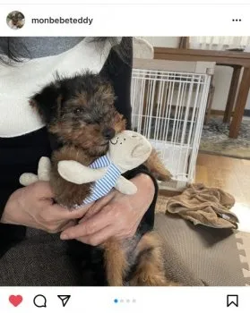 M.S 様のお迎えした子犬