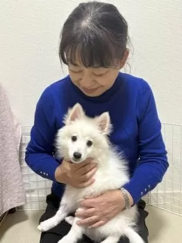 N.Y 様のお迎えした子犬