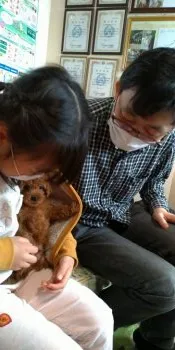 プティ 様のお迎えした子犬