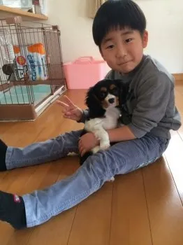 あーち 様のお迎えした子犬