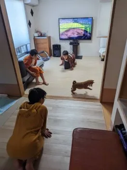 あんくん 様のお迎えした子犬