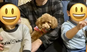 マロン 様のお迎えした子犬