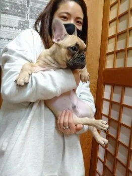 がんちゃん 様のお迎えした子犬