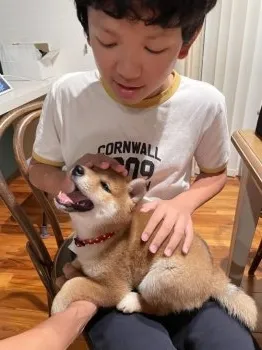 こてつ 様のお迎えした子犬