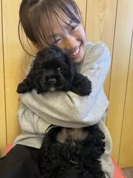 H.Y 様のお迎えした子犬