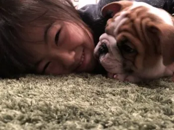 ふたどん 様のお迎えした子犬