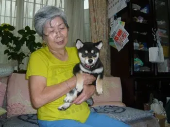 千 様のお迎えした子犬