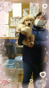 ベリー 様のお迎えした子犬