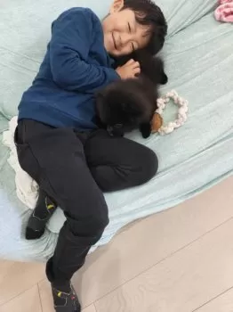 レン 様のお迎えした子犬