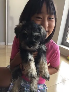 はるゆづママ 様のお迎えした子犬