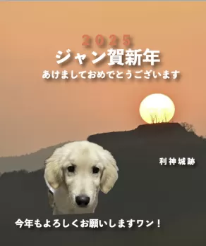 ふじやんさん 様のお迎えした子犬