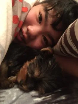 T.A 様のお迎えした子犬